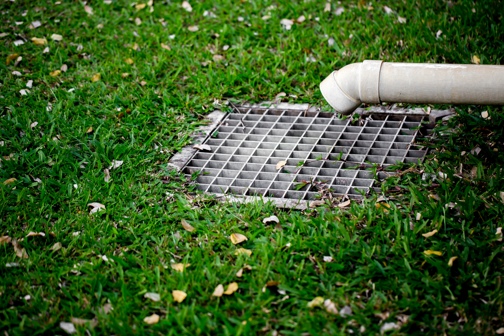 Home gutters clogged with leaves and water